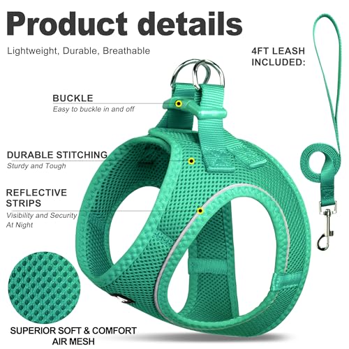 Fida Cat Harness and Leash Set for Walking Kitten and Puppy, Escape Proof Kitten Harness with Breathable Lightweight Soft Mesh, Adjustable Reflective Step-in Design. (XS, Green) - color: Turquoise, size: XS (Neck:12.2"-13"; Girth:14.2"-16.1")