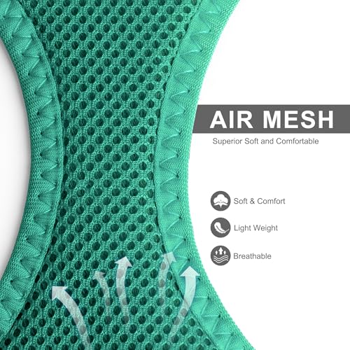 Fida Cat Harness and Leash Set for Walking Kitten and Puppy, Escape Proof Kitten Harness with Breathable Lightweight Soft Mesh, Adjustable Reflective Step-in Design. (XXXS, Green) - color: Turquoise, size: XXXS (Neck:10.2"-11.4"; Girth:11.4"-12.6")