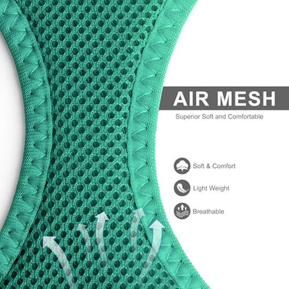 Fida Cat Harness and Leash Set for Walking Kitten and Puppy, Escape Proof Kitten Harness with Breathable Lightweight Soft Mesh, Adjustable Reflective Step-in Design. (XXS, Green) - color: Turquoise, size: XXS (Neck:11.4"-12.2"; Girth:12.6"-14.2")