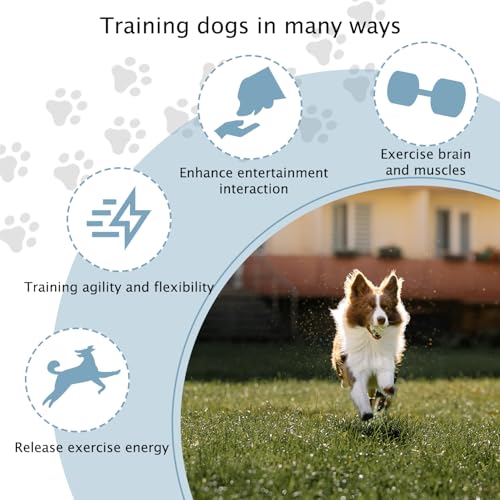 TNZMART Dog Agility Hurdle Cones Pet Jump Training Set Dog Agility Course Backyard Set Adjustable Obstacle Training Set (Blue, 6 Sets) - color: Blue