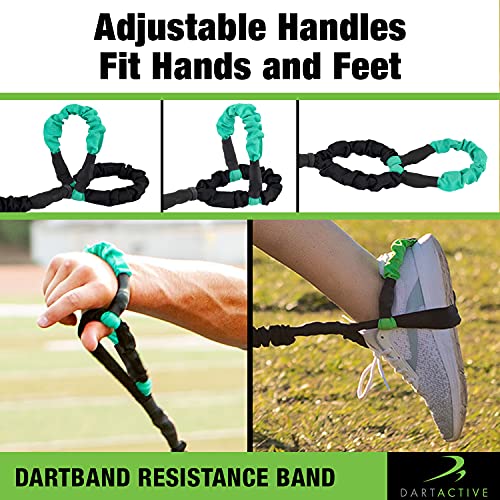 DartBand Premium Resistance Bands with Handles,Door Anchor,and Carabiner Clip for Athletic Training,Rehab,Strength Training,Yoga,Physical Therapy,Home Workout Solution-Medium Resistance - style: Resistance Bands