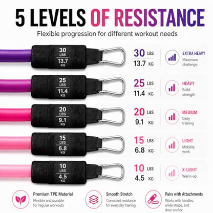 Resistance Bands Set with Handles, Door Anchor & Ankle Straps, 100 lbs Stackable Exercise Bands, 5 TPE Resistance Tubes for Home Workout, Strength Training, Yoga & Pilates