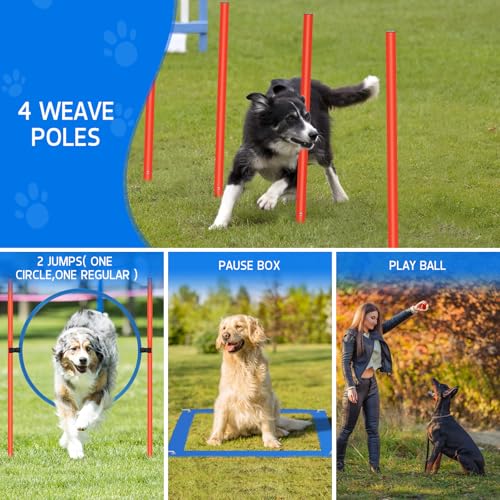 Dog Agility Equipment, Dog Obstacle Courses Backyard - Pet Outdoor Games w/Adjustable High Jump, Agility Weave Poles, Tunnel, Jumping Ring, Pause Box, 2 Balls,Whistle and Carrying Bag - size: 5 PCS Basic with tunnel