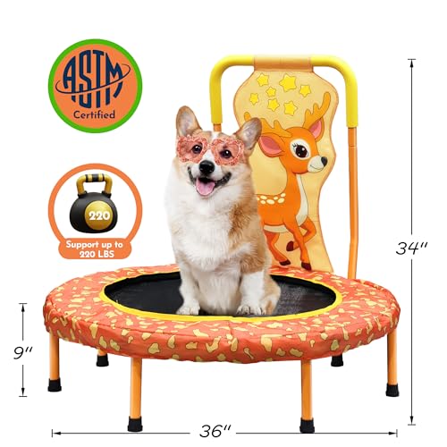 36 Inch Kids Trampoline Mini Trampoline with Handle, 36'' Indoor Outdoor Trampolines for Kids, Toddler Small Mini Baby Fitness Rebounder Recreational Trampolines, Birthday Gift Ideas