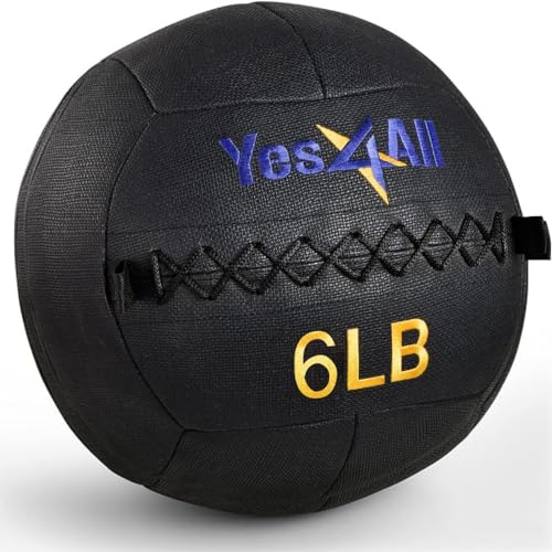 Yes4All Wall Ball, Soft Leather Weighted Iron Sand Ball for Dynamic Multifunctional Exercise, 6 LB - 30 LB - color: A. Black, style: A. 6LB