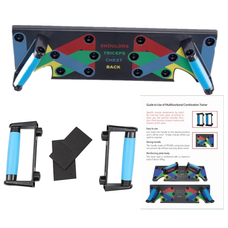 Push Up Board with Labeled Muscle Groups, Multicolor