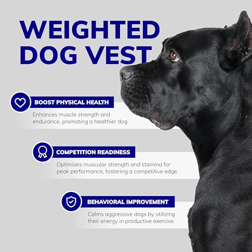 ActiveDogs Weighted Dog Vest with Weights - Dog Agility Training Equipment Jacket for Dog Exercise, Strength, Pulling & Endurance - Burn Calories & Build Muscle - Large 34-38 IN, 10 x 1LB