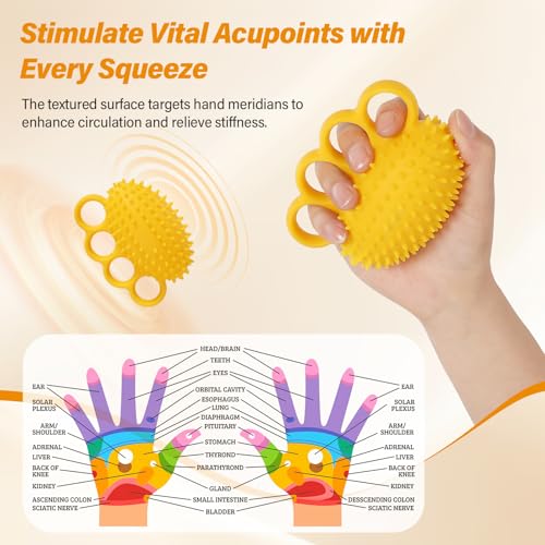 Fanwer Hand Exercise Stress Ball - Grip Strength Trainer, Hand Strengthener for Physical Therapy, Finger Strengthener, Squeeze Ball for Rehabilitation & Hand Massage, for Adults, Seniors & Disabled