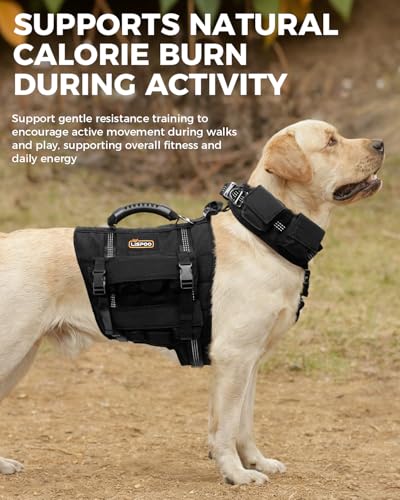 Weighted Dog Vest and Collar Set with 4 Removable 0.88 lb Weight Blocks, No Sand Filling, Training Gear for Medium and Large Dogs, Walking, Conditioning, Muscle Building, L - size: L