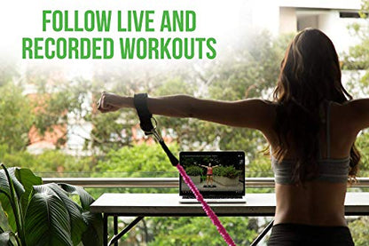 BodyBoss Home Gym 2.0 - Full Portable Gym Home Workout Package, Includes a Set of Resistance Bands (2) - Collapsible Resistance Bar, Handles + More- Full Body Workouts for Home, Travel or Outside