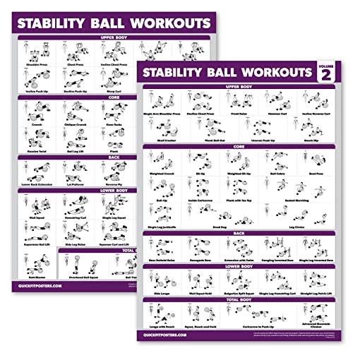 Palace Learning 2 Pack - Yoga Ball Workout Exercises Volume 1 & Volume 2 - Stability Ball Routine - Fitness Charts
