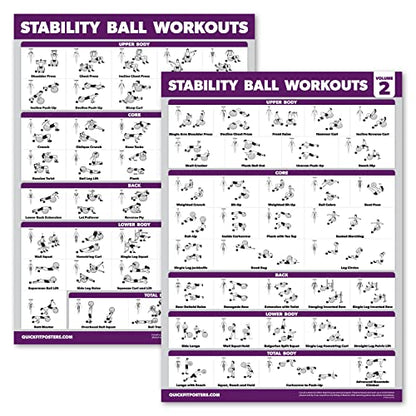 Palace Learning 2 Pack - Yoga Ball Workout Exercises Volume 1 & Volume 2 - Stability Ball Routine - Fitness Charts