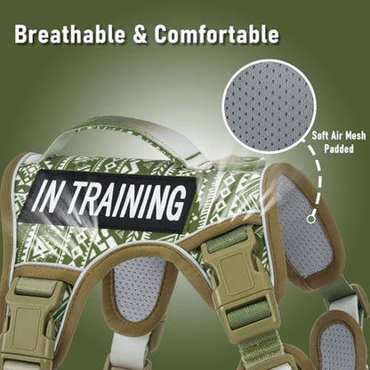 No-Pull Dog Harness for Small Dog Breeds, Escapeproof Easy Walking Reflective Adjustable Lightweight Dog Vest with Breathable Oxford Material, Easy on Easy Off with Neck Buckle, Green Ethnic XS