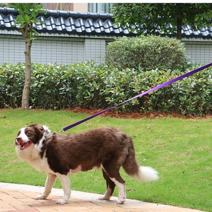 AMAGOOD Dog/Puppy Obedience Recall Training Agility Lead-15 ft 20 ft 30 ft 50 ft Long Leash-for Dog Training,Tie Out,Play,Safety,Camping (15Feet x 1Inch, Purple) - color: Purple, size: 1" x 15ft