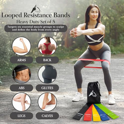 Home Workout Kit-Includes Resistance Bands, Exercise Balls with Pump, Core Sliders and Fitness Looped Bands for Physical Therapy Strength Training Full Body, Core Workouts by Nyack Exchange
