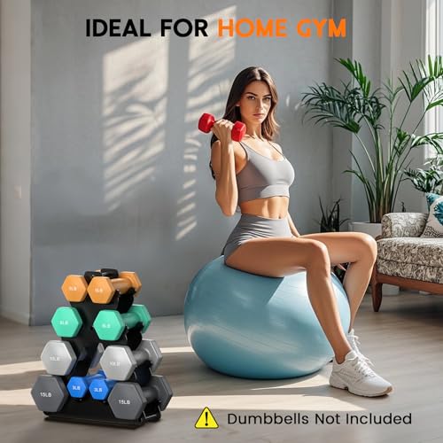Dumbbell Rack Stand Only | Space-Saving Weight Rack for Home Gym, Hand Weight Rack Dumbbell Storage for Dumbbell Set (3-15 LB), Durable Metal Stand with Easy Assembly (Dumbell not Included) - color: Weight Rack - 4 Tier