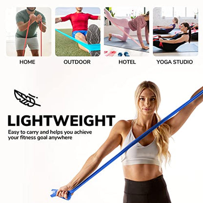 Resistance Bands for Working Out | 7Ft Long Resistance Bands |Super Exercise Bands with Carry Pouch and Door Anchor I Latex Free Workout Bands Including an Exclusive Workout App and E-Book