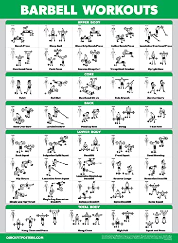 Palace Learning 4 Pack - Dumbbell + Barbell + Bodyweight Workouts - Muscle Set of 4 Laminated Charts (18'' x 24'')