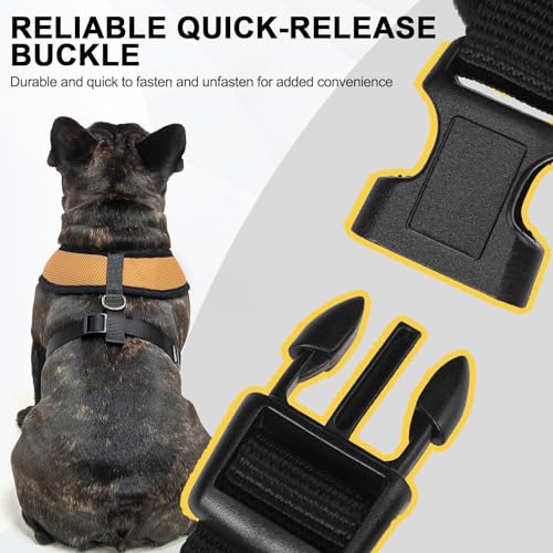 BINGPET Small Dog Harness, No Pull Dog Harness Small Sized Dogs, Soft Light Breathable Mesh Puppy Vest with Safety Buckle-Adjustable Step in Pet Harnesses for Easy Walking, Running, Training