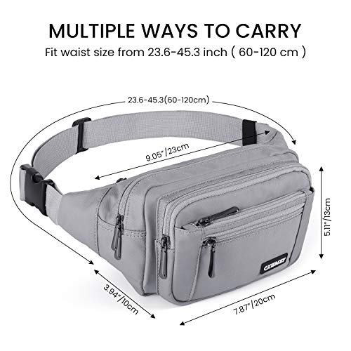 CXWMZY Fanny Packs For Women & Men Waist Pack Hip Bum Bag with Multi-Pockets Large Capacity Waterproof Casual Bum Bag for Disney Traveling Casual Cycling Running Hiking - color: Grey_2