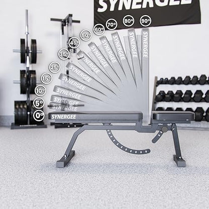 Synergee Adjustable Incline Workout Bench. Weight Bench for Dumbbell & Barbell Press Exercises & Workouts. Great for Commercial, Garage and Home Gym.