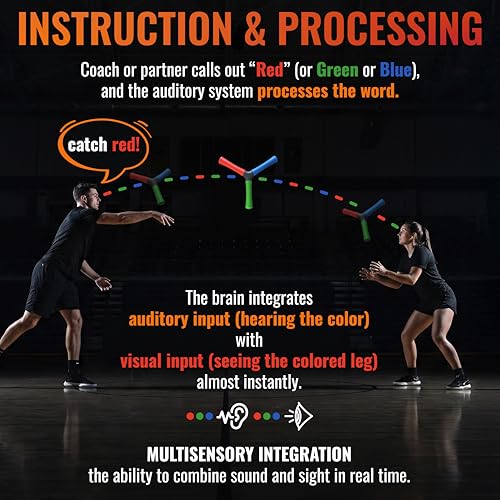 HECOstix Hand-Eye Coordination Trainer (Red/Green/Blue) – Reaction Time & Reflex Tool with Removable Legs | Improves Agility, Focus, & Multisensory Skills | Sports, Fitness, & Fun | All Ages