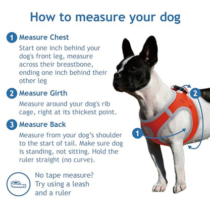 DOCO Dog Harness for Large Sized Dog - Athletica Adjustable, No Pull, No Choke, Puppy Vest Lightweight Air Mesh, Reflective, Puppy Essentials – Lime, Large (Chest 18.5"-19.5", Weight 15–20 lbs)