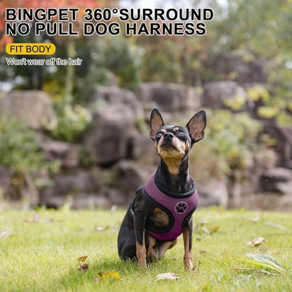 BINGPET Small Dog Harness, No Pull Step-in Puppy Pet Vest, Purple - color: Purple, size: S (NECK: 12", CHEST: 14"-18")