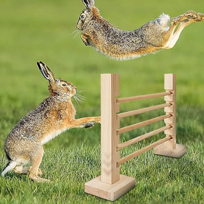 Rabbit Jump Obstacle - Rabbit Agility Training Bar