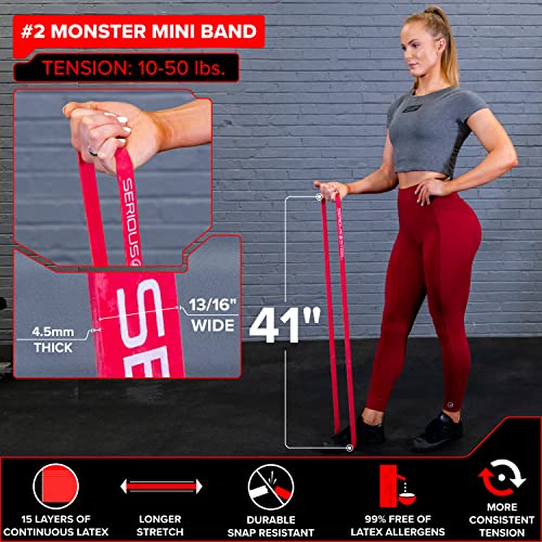 Assisted 41" Pull-Up Band, Resistance & Stretch, Powerlifting & Pull-up Assist Loop (Single Band)