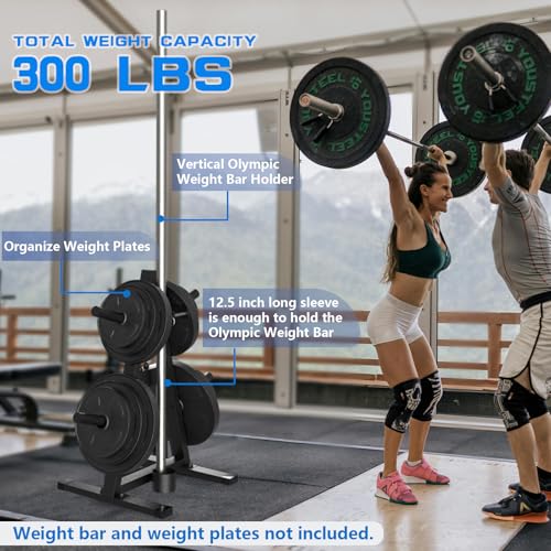 A-Frame Weight Plate Tree for 1" Olympic Plates - Holds 300 lbs, Dumbbell Rack and Home Gym Storage Stand - Organize Your Workout Area