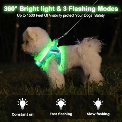 Light Up Dog Harness, Rechargeable LED Dog Harness for Small Medium Dogs - color: Light Green, size: XS