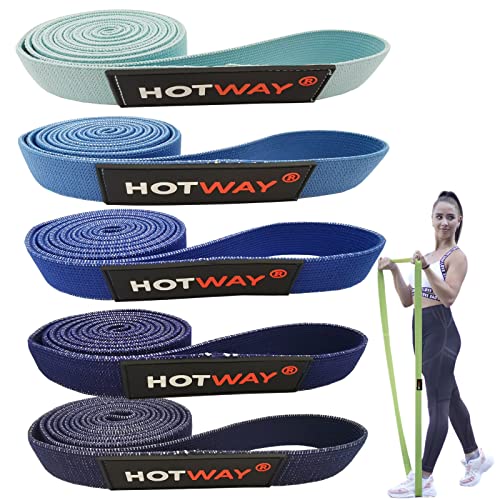 HOTWAY Long Resistance Bands Set, Fabric Pull Up Assistance Exercise Bands for Women, 5 Pack Thick Cloth Heavy Duty Stretch Bands for Full Body Workout & Weight Training - color: Blue