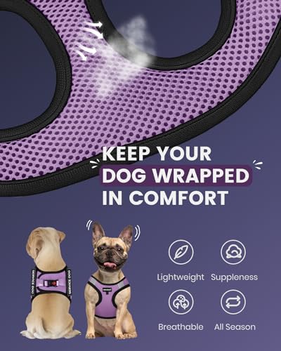 Service Dog Vest for Small Breed - Lightweight Dog Harness with 6PCS Removable Patches - Puppy Harness and Leash Set for Walking,Training