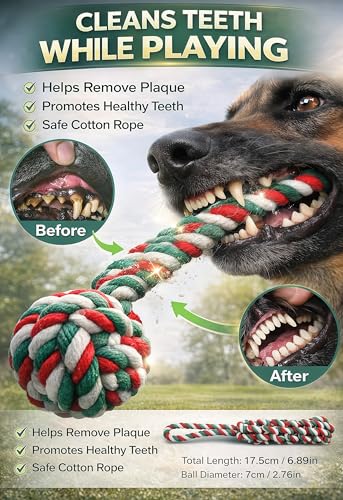 Dog Outdoor Bungee Hanging Toy, Tether Tug of War Toys for Medium to Large Dog to Exercise, Durable Interactive Tug Toy, Dog Rope Toys