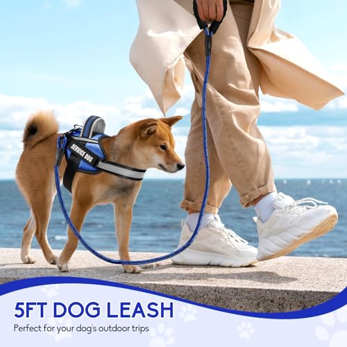 Service Dog Vest Harness and Leash Set, Animire in Training Dog Harness with 10 Dog Patches, Reflective Dog Leash with Soft Padded Handle for Small, Medium, Large, and Extra-Large Dogs