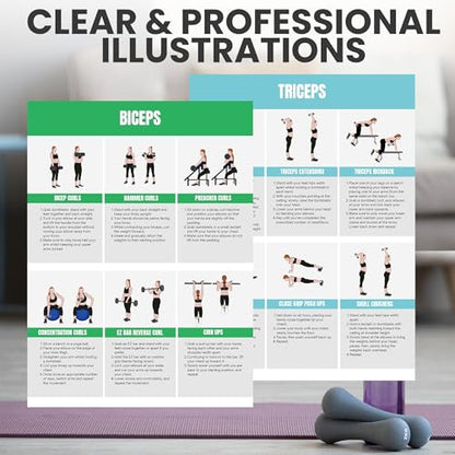 Full Body Workout Poster for Home Gym – Exercise Chart for Glutes, Legs, Back & Abs – Strength Training Guide with Squats, Lunges, Deadlifts, Core Exercises – Bodyweight & Dumbbell Training Guide