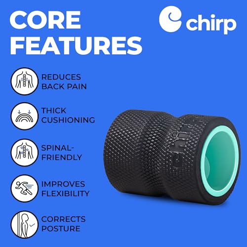 Chirp Wheel Foam Roller – Targeted Back & Neck Relief, Lumbar Spine Stretcher, Spinal Decompression Back Stretcher, Massage Roller with Density Foam for Physical Therapy, Supports 500lbs, 4-Inch Mint