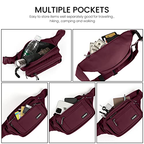 CXWMZY Fanny Packs For Women & Men Waist Pack Hip Bum Bag with Multi-Pockets Large Capacity Waterproof Casual Bum Bag for Disney Traveling Casual Cycling Running Hiking (Wine Red) - color: Wine Red