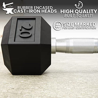 Synergee Rubber Encased Hex Dumbbells with Chrome Handle. All Purpose Weights for Strength & Conditioning Training. Available Size From 2.5 lbs to 50 lbs.