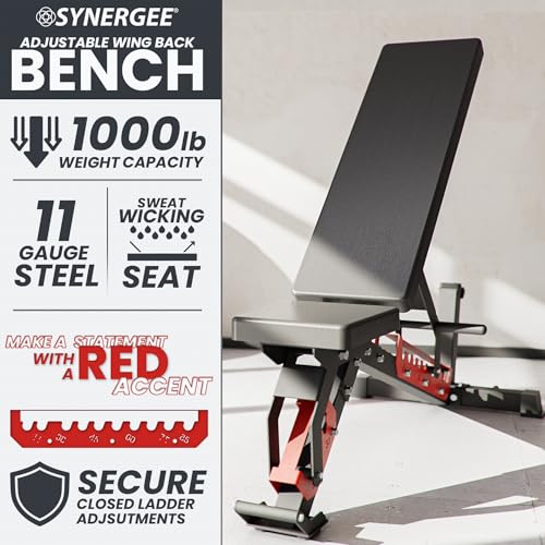 Synergee Adjustable Wing Back Workout Bench. Weight Bench for Dumbbell & Barbell Press Exercises & Workouts. Great for Commercial, Garage and Home Gym.