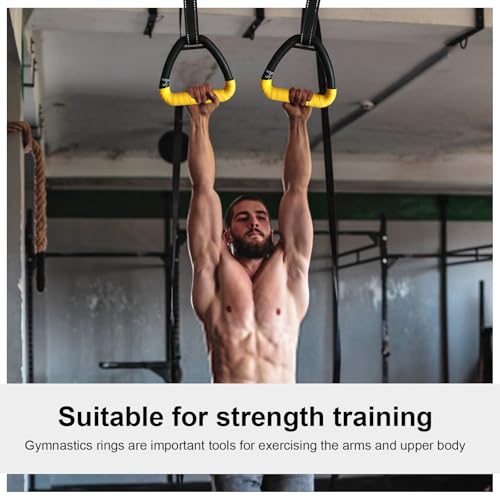 Gymnastic Rings, Gymnastic Rings Equipment, Pull-up Gymnastic Rings, Home Gymnastic Rings no-Punch bar Lanyard for Training Workouts