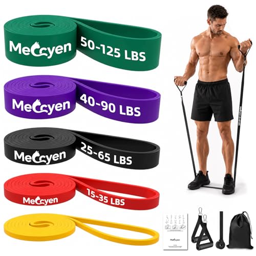 5-Pack Resistance Bands Set, Exercise Bands with Handles & Door Anchor, Stretch Bands for Pull Up Assistance, Home Gym & Strength Training