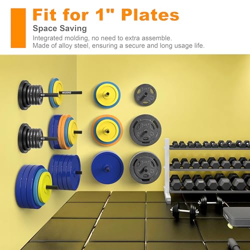 Weight Plate Holder, Wall Mounted Weight Rack Storage for Weight Plates, Home Gym Organizer