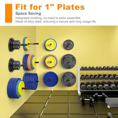 Weight Plate Holder, Wall Mounted Weight Rack Storage for Weight Plates, Home Gym Organizer