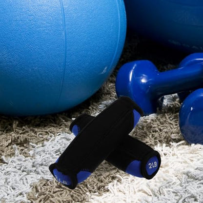 ABOOFAN Soft Sandbag Dumbbells 2lb Pair Hand Weights for Fitness Training, Blue Soft Dumbbell Set for Running, Aerobics, Home Exercise and Arm Toning