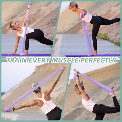 Stretch Bands for Exercise, 5 Levels Resistance Bands for Working Out, Exercise Bands for Physical Therapy, Pilates, Rehab, Stretch, Strength Training and Yoga Starter Set