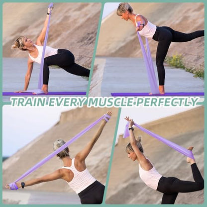 Stretch Bands for Exercise, 5 Levels Resistance Bands for Working Out, Exercise Bands for Physical Therapy, Pilates, Rehab, Stretch, Strength Training and Yoga Starter Set