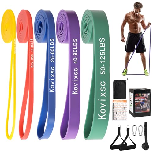 Resistance Bands for Working Out, Pull Up Assistance Bands, Exercise Workout Bands for Men & Women, Gym Bands with Door Anchor & Handle, Stretching Bands for Physical Therapy, Muscle Training - size: 5-125lbs