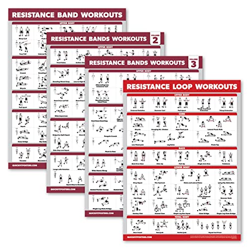 Palace Learning 4 Pack - Resistance Bands Workout Exercise Posters Volume 1, 2 & 3 + Resistance Loops Fitness Chart (LAMINATED, 18" x 24") - color: LAMINATED